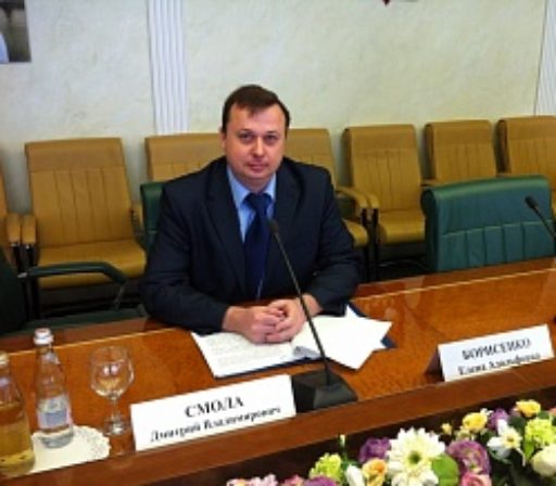Dmitriy Smola participated in the Council of the Federation “round table”