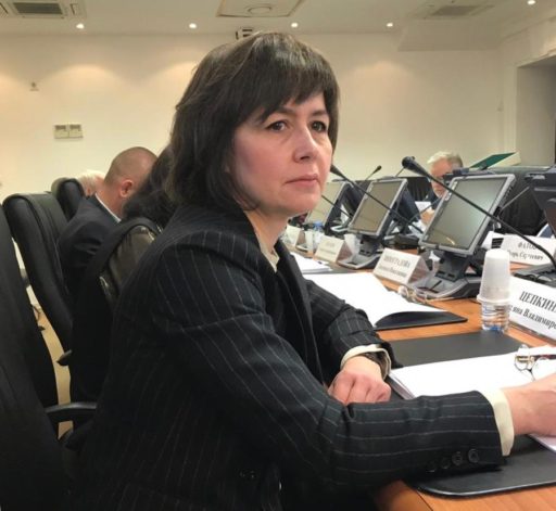 SESSION OF THE EXPERT AND ADVISORY COUNCIL UNDER THE COUNCIL OF THE FEDERATION COMMITTEE ON CONSTITUTIONAL LEGISLATION