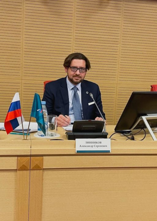 ДОКЛАД АЛЕКСАНДРА ЛИННИКОВА В ИНСТИТУТЕ ЭКОНОМИКИ РАН