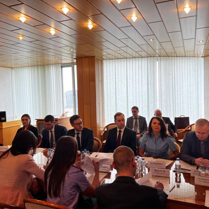 MEETING OF THE WORKING GROUP ON CRIMINAL PROCEDURE