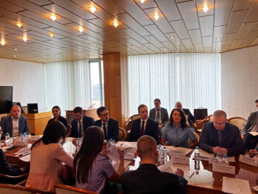 ЗАСЕДАНИЕ РАБОЧЕЙ ГРУППЫ ПО УГОЛОВНОМУ ПРОЦЕССУ