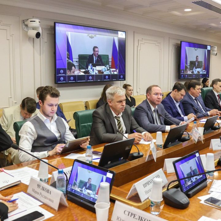 КРУГЛЫЙ СТОЛ КОМИТЕТА СОВЕТА ФЕДЕРАЦИИ